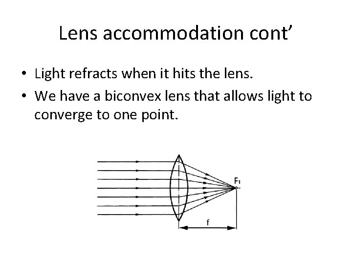 Lens accommodation cont’ • Light refracts when it hits the lens. • We have