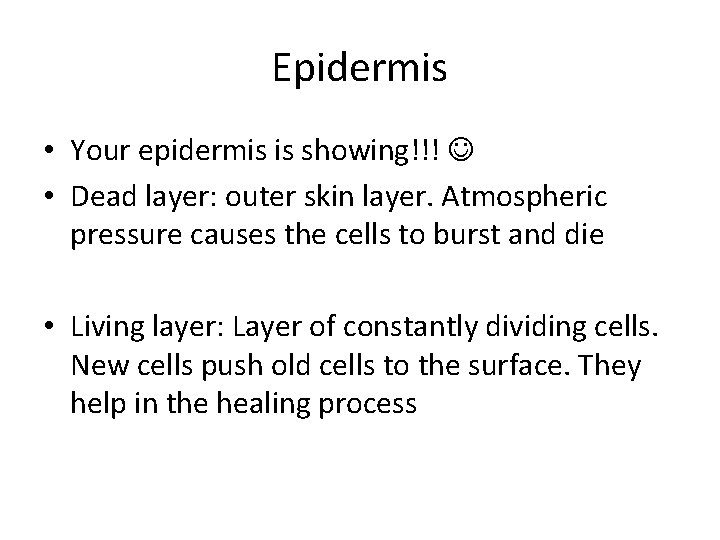 Epidermis • Your epidermis is showing!!! • Dead layer: outer skin layer. Atmospheric pressure