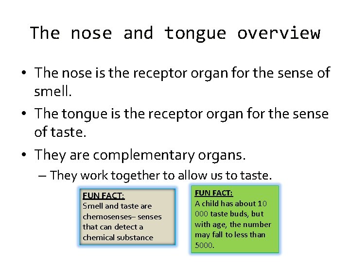 The nose and tongue overview • The nose is the receptor organ for the