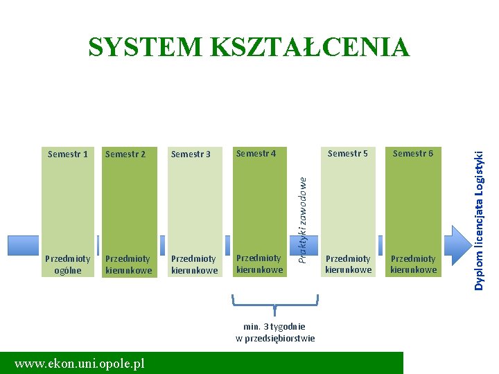 Semestr 2 Semestr 3 Semestr 4 Przedmioty ogólne Przedmioty kierunkowe min. 3 tygodnie w