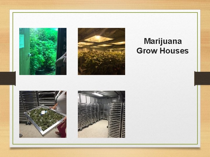 Marijuana Grow Houses 