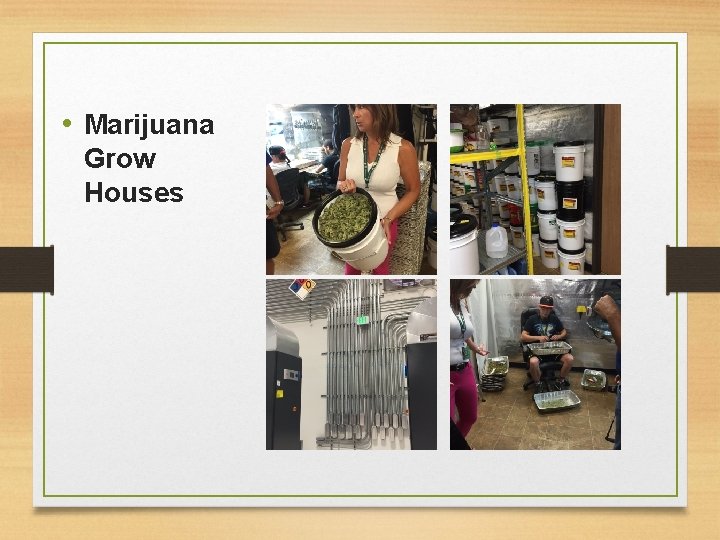  • Marijuana Grow Houses 