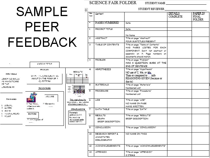 SAMPLE PEER FEEDBACK 