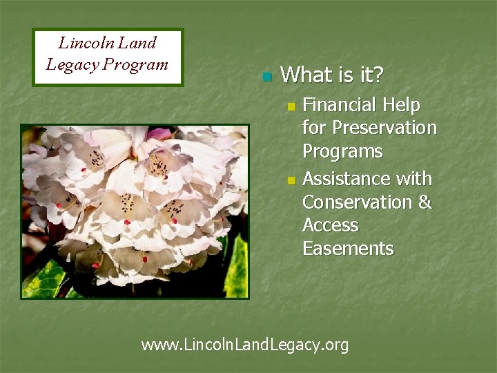 Lincoln Land Legacy Program n What is it? Financial Help for Preservation Programs n