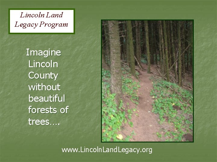 Lincoln Land Legacy Program Imagine Lincoln County without beautiful forests of trees…. www. Lincoln.