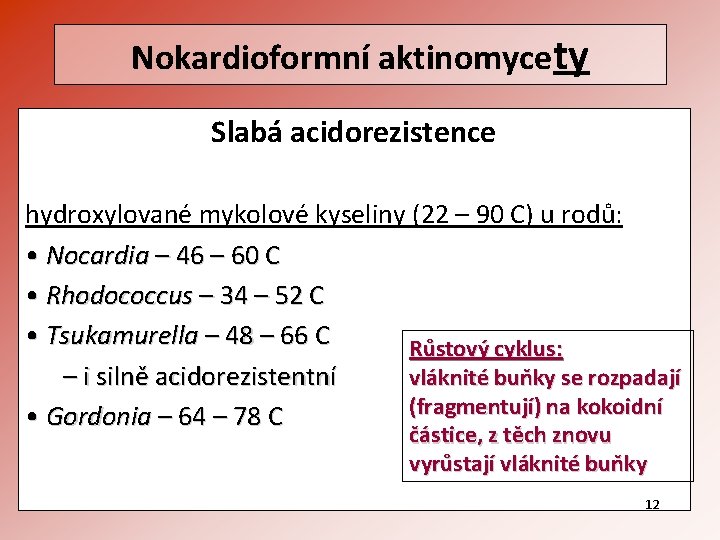 Nokardioformní aktinomycety Slabá acidorezistence hydroxylované mykolové kyseliny (22 – 90 C) u rodů: •