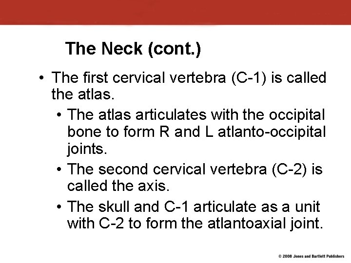 The Neck (cont. ) • The first cervical vertebra (C-1) is called the atlas.