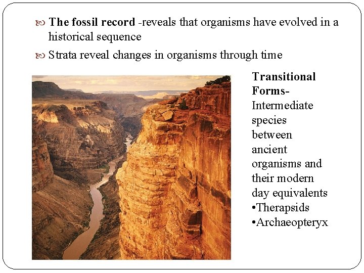 The fossil record -reveals that organisms have evolved in a historical sequence Strata The fossil record -reveals that organisms have evolved in a historical sequence Strata