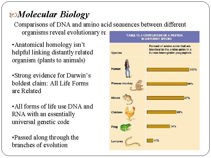 Molecular Biology Comparisons of DNA and amino acid sequences between different organisms reveal Molecular Biology Comparisons of DNA and amino acid sequences between different organisms reveal
