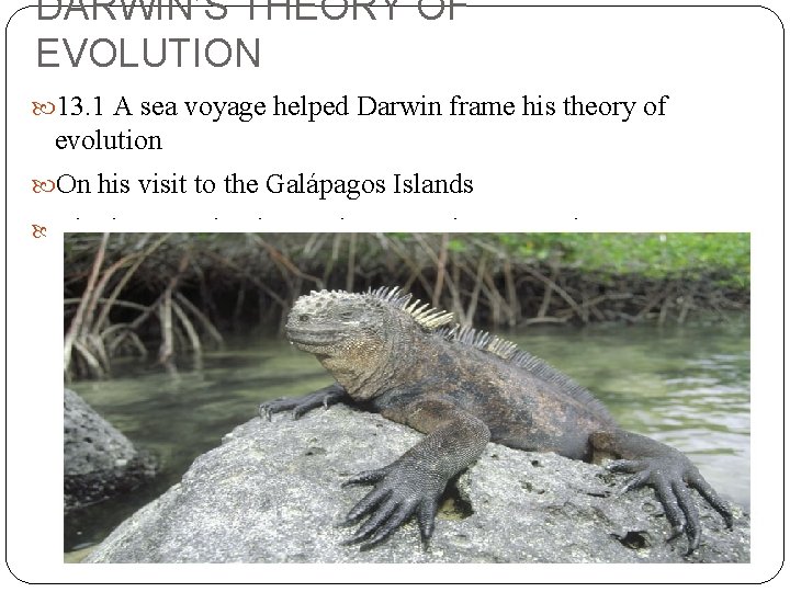 DARWIN’S THEORY OF EVOLUTION 13. 1 A sea voyage helped Darwin frame his theory DARWIN’S THEORY OF EVOLUTION 13. 1 A sea voyage helped Darwin frame his theory