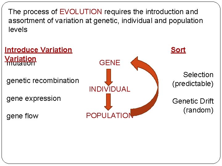 The process of EVOLUTION requires the introduction and assortment of variation at genetic, individual The process of EVOLUTION requires the introduction and assortment of variation at genetic, individual