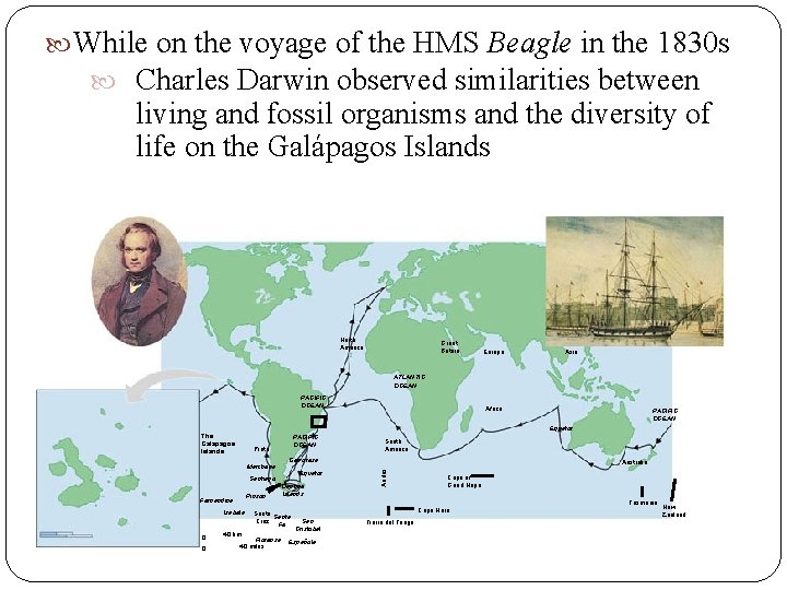 While on the voyage of the HMS Beagle in the 1830 s Charles While on the voyage of the HMS Beagle in the 1830 s Charles