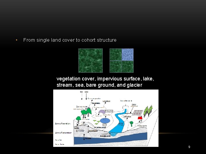  • From single land cover to cohort structure vegetation cover, impervious surface, lake,