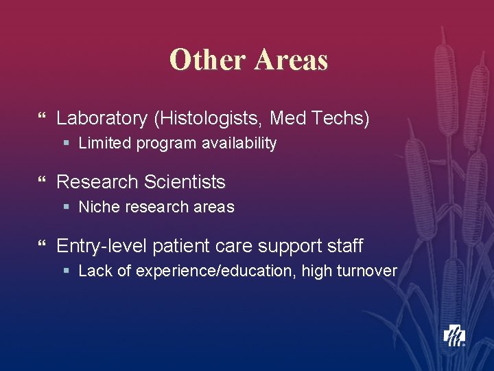 Other Areas } Laboratory (Histologists, Med Techs) § Limited program availability } Research Scientists