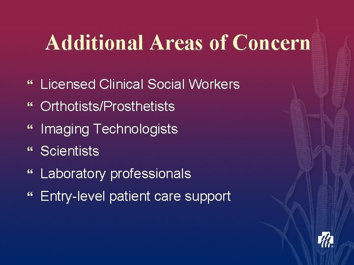 Additional Areas of Concern } Licensed Clinical Social Workers } Orthotists/Prosthetists } Imaging Technologists