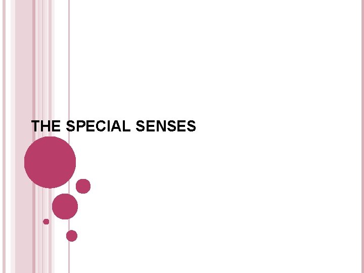 THE SPECIAL SENSES 