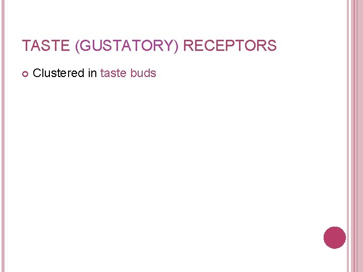 TASTE (GUSTATORY) RECEPTORS Clustered in taste buds 