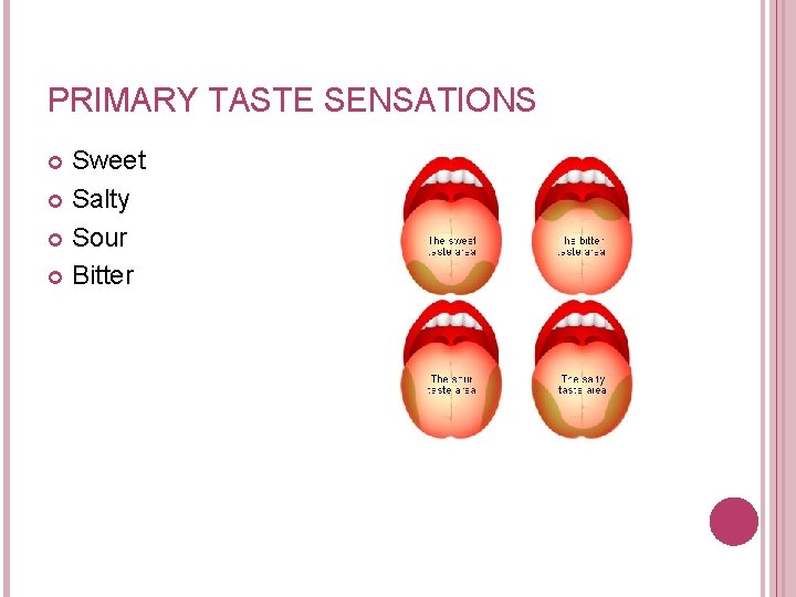 PRIMARY TASTE SENSATIONS Sweet Salty Sour Bitter 