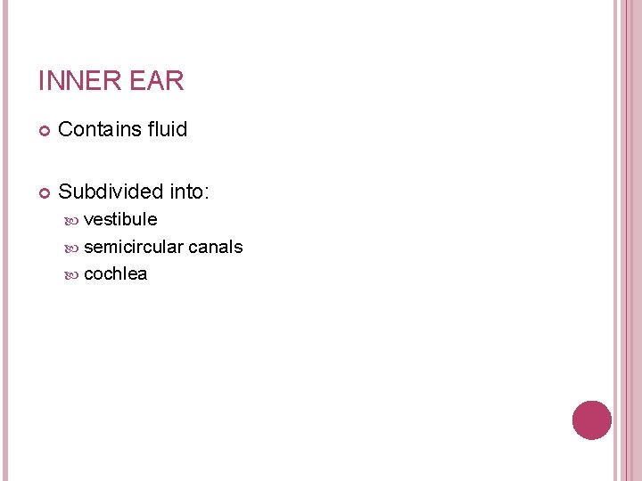 INNER EAR Contains fluid Subdivided into: vestibule semicircular cochlea canals 