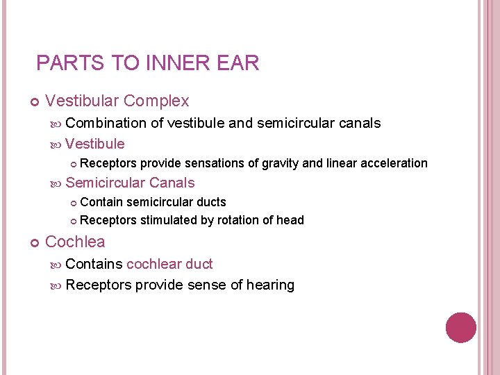 PARTS TO INNER EAR Vestibular Complex Combination of vestibule and semicircular canals Vestibule Receptors