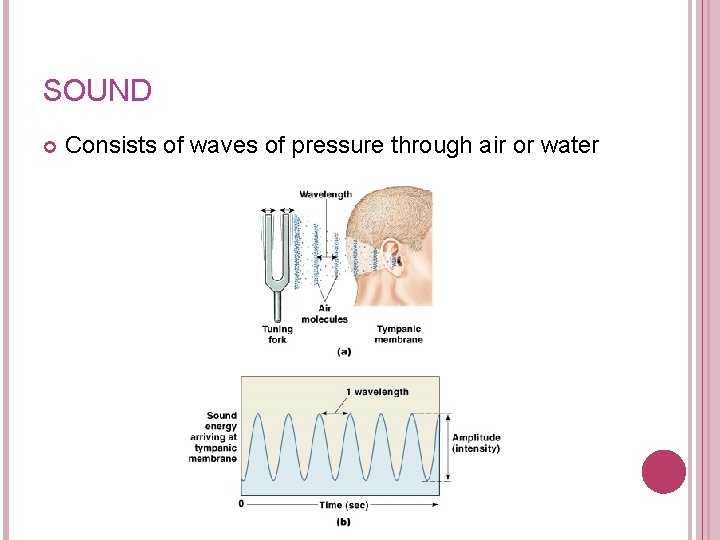 SOUND Consists of waves of pressure through air or water 