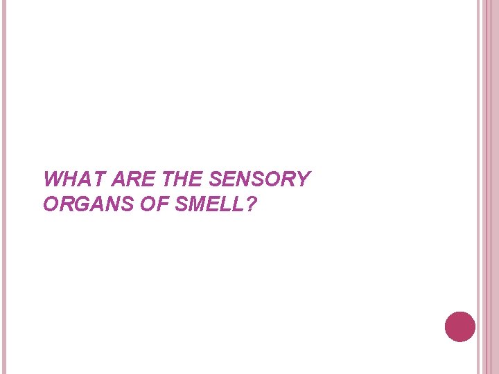WHAT ARE THE SENSORY ORGANS OF SMELL? 