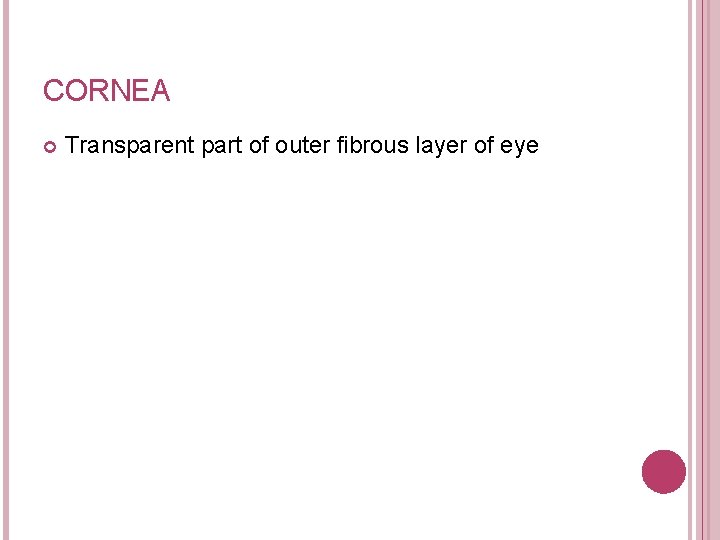 CORNEA Transparent part of outer fibrous layer of eye 