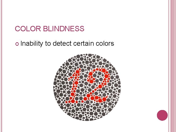 COLOR BLINDNESS Inability to detect certain colors Figure 17– 17 