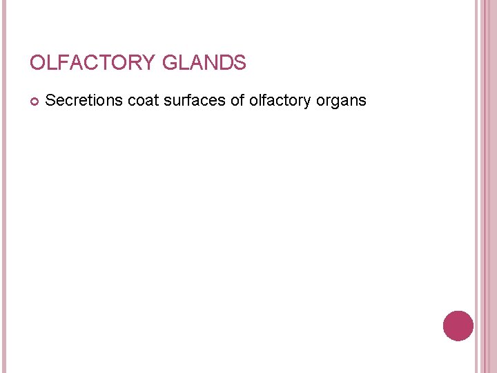 OLFACTORY GLANDS Secretions coat surfaces of olfactory organs 