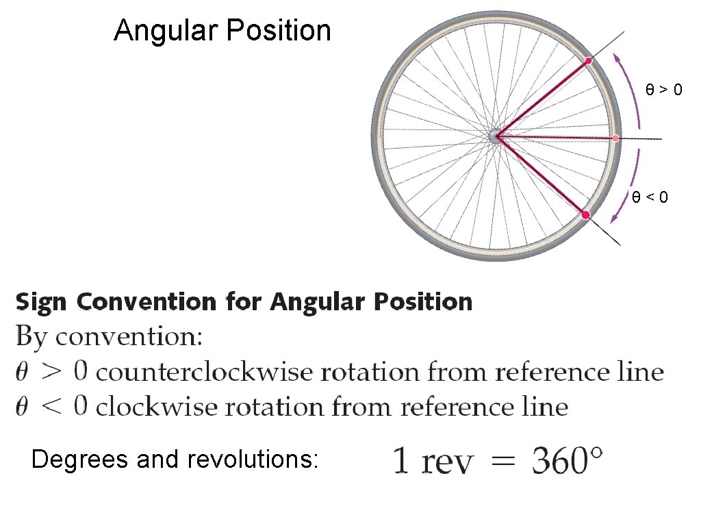 Angular Position θ>0 θ<0 Degrees and revolutions: 