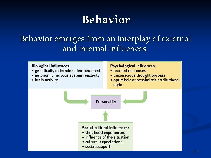 Behavior emerges from an interplay of external and internal influences. 44 Behavior emerges from an interplay of external and internal influences. 44