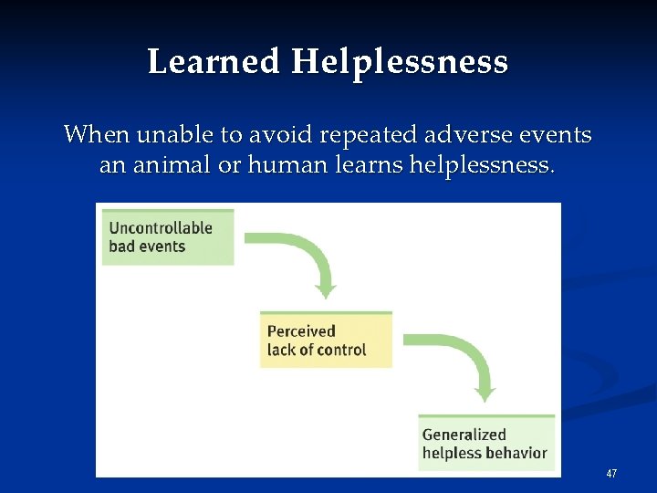 Learned Helplessness When unable to avoid repeated adverse events an animal or human learns Learned Helplessness When unable to avoid repeated adverse events an animal or human learns