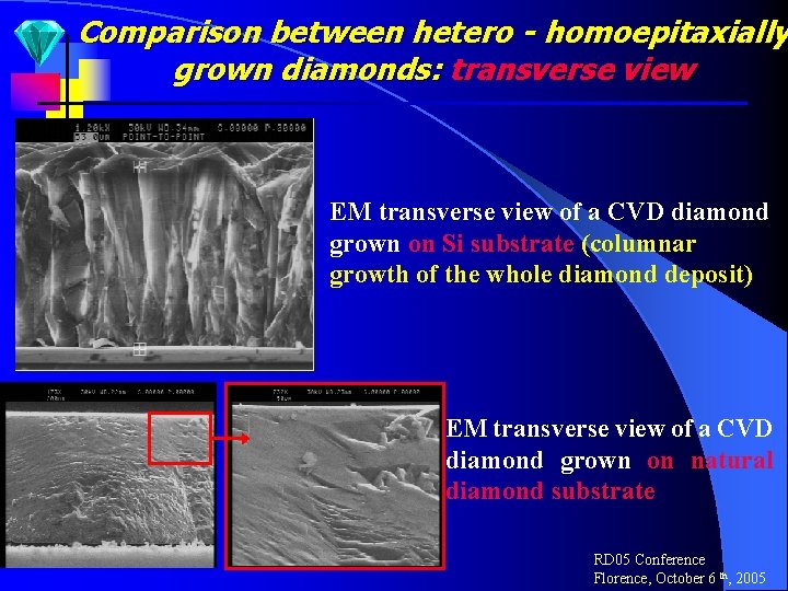 Comparison between hetero - homoepitaxially grown diamonds: transverse view EM transverse view of a