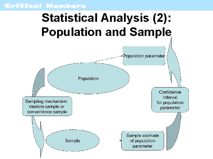 Statistical Analysis (2): Population and Sample 
