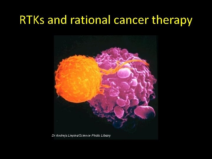RTKs and rational cancer therapy Dr Andrejs Liepins/Science Photo Library 