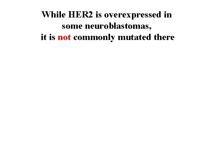 While HER 2 is overexpressed in some neuroblastomas, it is not commonly mutated there