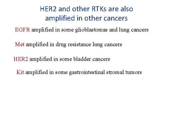 HER 2 and other RTKs are also amplified in other cancers EGFR amplified in