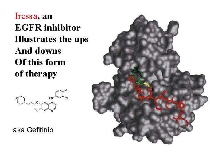 Iressa, an EGFR inhibitor Illustrates the ups And downs Of this form of therapy