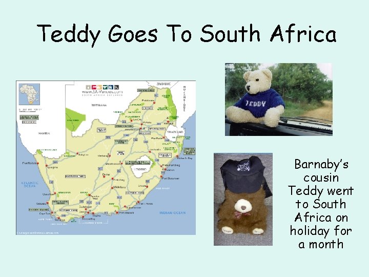 Teddy Goes To South Africa Barnaby’s cousin Teddy went to South Africa on holiday