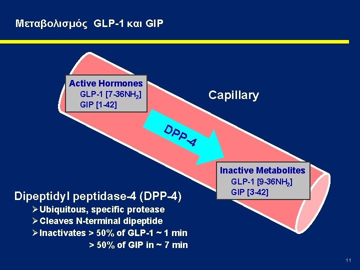 Mεταβολισμός GLP-1 και GIP Active Hormones Capillary GLP-1 [7 -36 NH 2] GIP [1