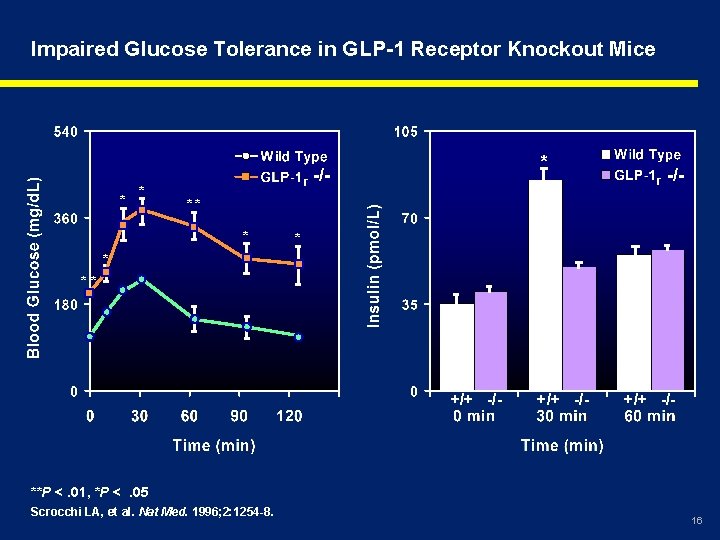 Impaired Glucose Tolerance in GLP-1 Receptor Knockout Mice * * * r -/- **