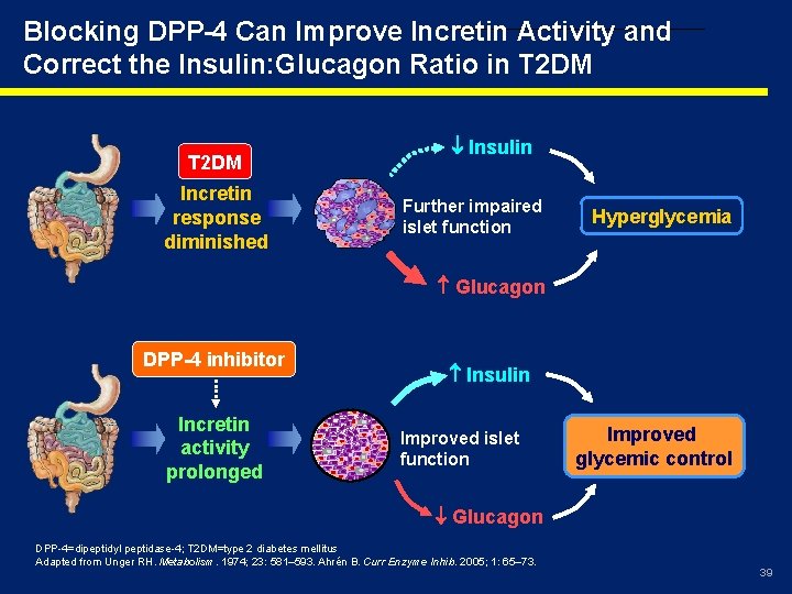 Blocking DPP-4 Can Improve Incretin Activity and Correct the Insulin: Glucagon Ratio in T