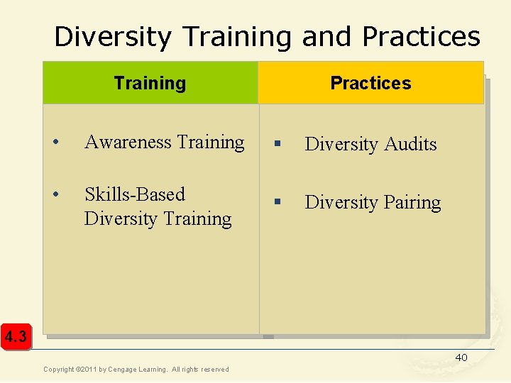 Diversity Training and Practices Training Practices • Awareness Training § Diversity Audits • Skills-Based