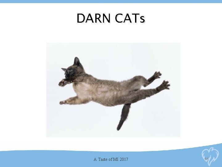 DARN CATs A Taste of MI 2017 44 