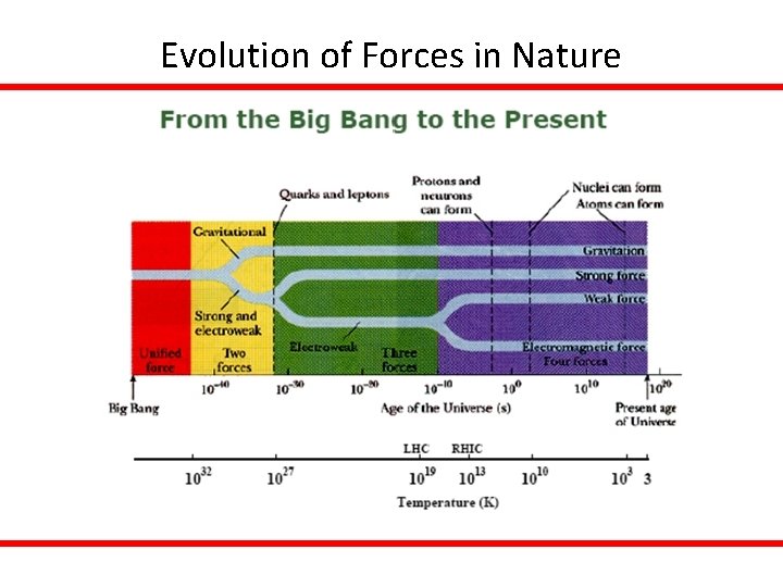Evolution of Forces in Nature 