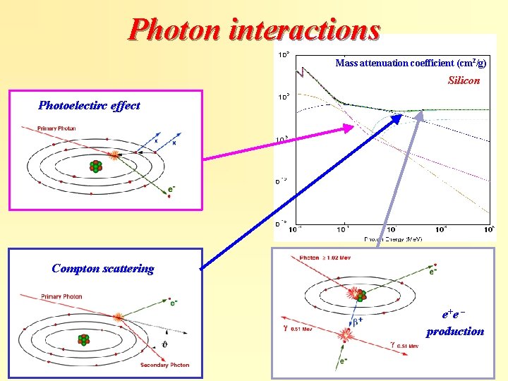 Photon interactions Mass attenuation coefficient (cm 2/g) Silicon Photoelectirc effect Compton scattering _ e+e