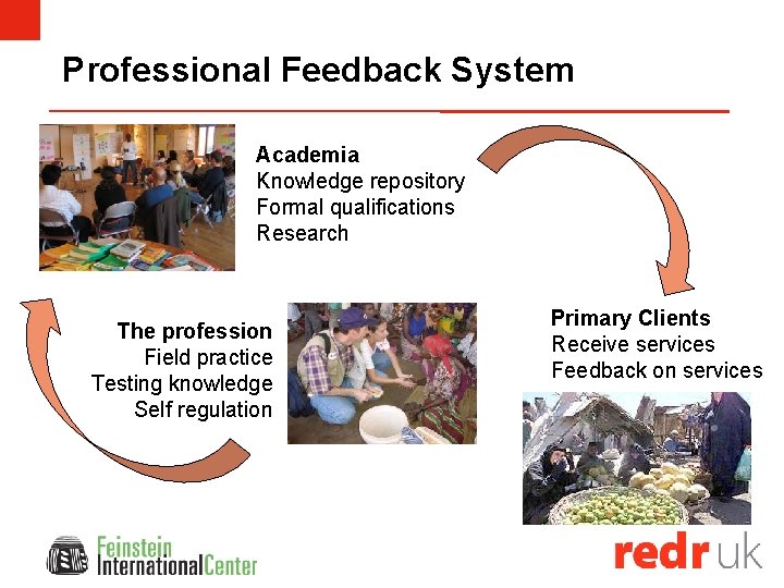 Professional Feedback System Academia Knowledge repository Formal qualifications Research The profession Field practice Testing