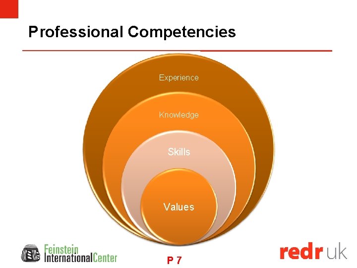 Professional Competencies Experience Knowledge Skills Values P 7 