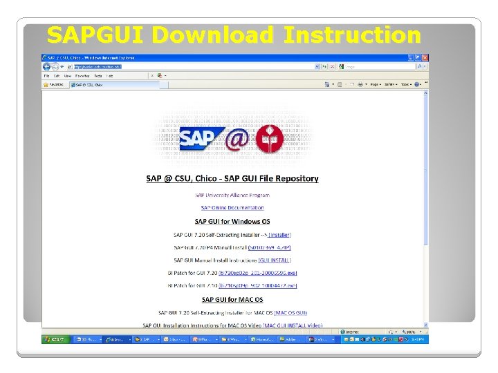 SAPGUI Download Instruction 