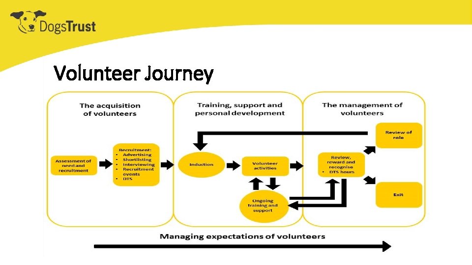 Volunteer Journey 